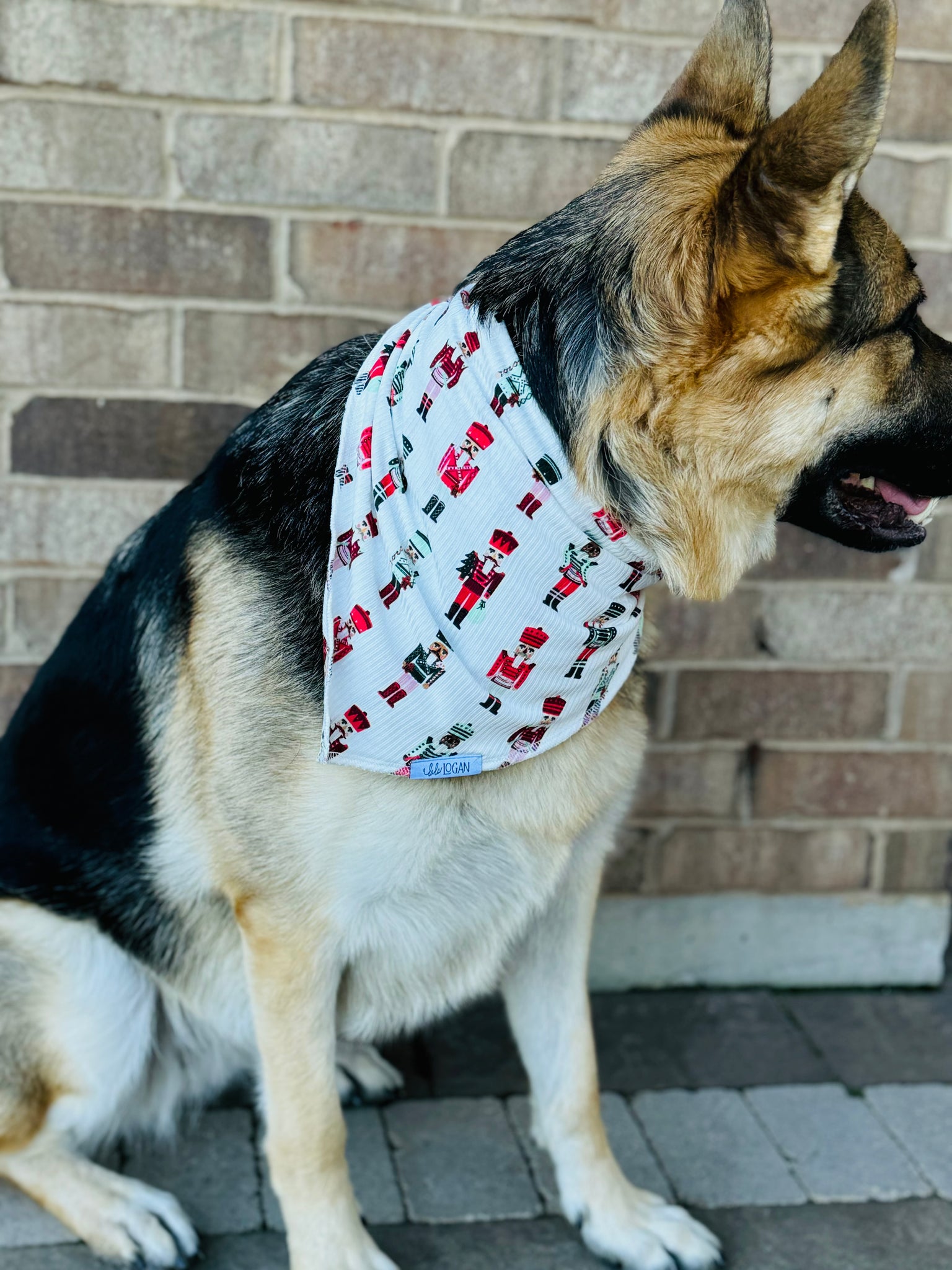 Nutcracker Ribbed Bamboo Pet Bandana