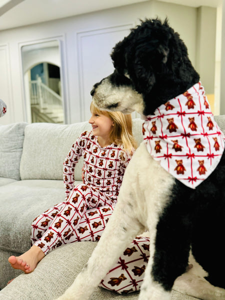 Vintage Teddy Bamboo Pet Bandana