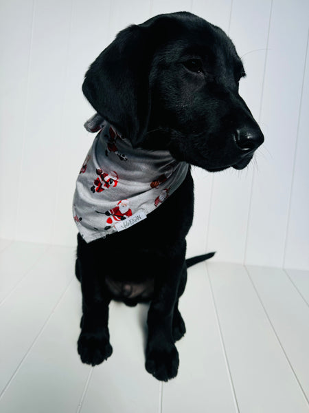 Sports Santa Bamboo Pet Bandana
