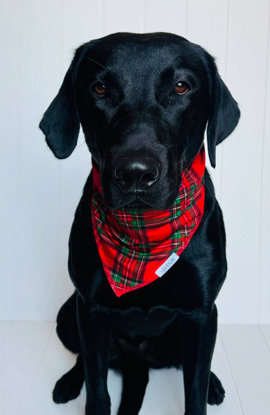 Red Plaid Bamboo Pet Bandana