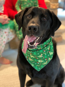 Dino Pet Bandana